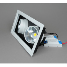 110-2-COB30- 6000K (WH) Светодиодный светильник (Холодный белый)